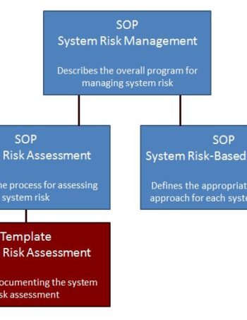 Risk Management template