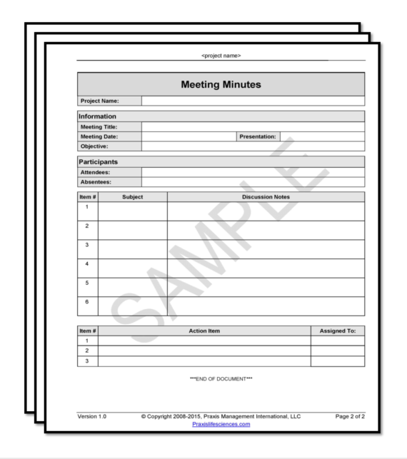 validation template, meeting minutes