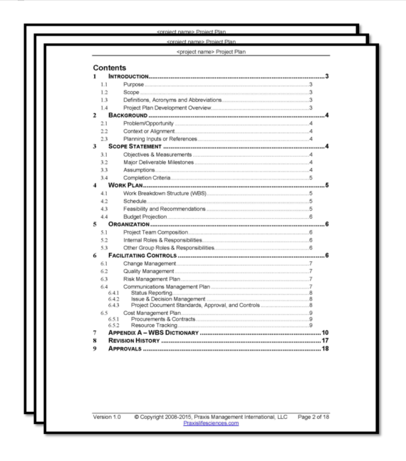 validation template, project plan