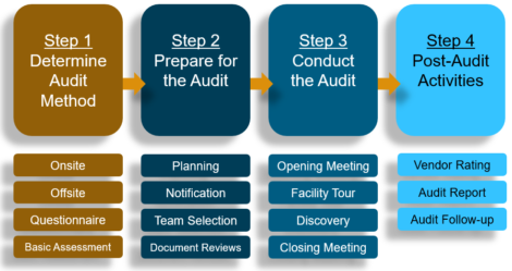 audit software vendors process