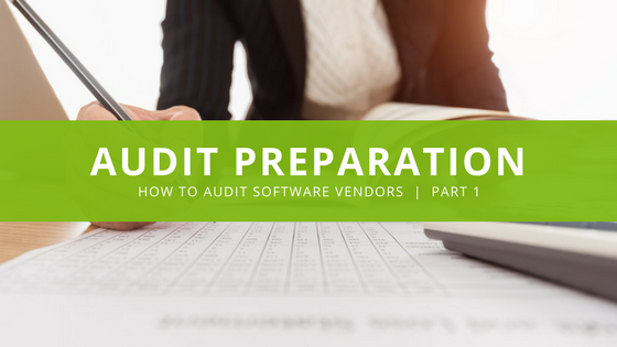 Audit Software Vendors, Audit Preparation