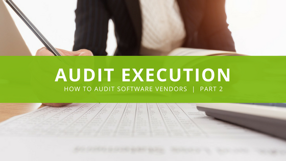 Audit Software Vendors, Audit Execution