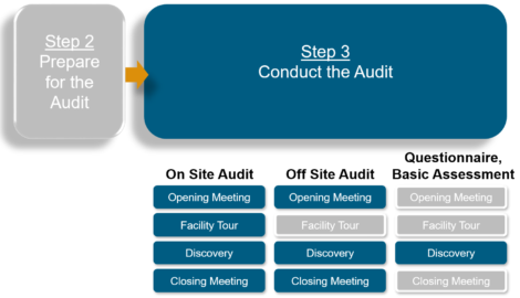 audit software vendors execution